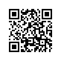 66V-24560-00-00 Фильтр Топливный