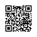 67205-HL3-A00ZA Door, R. Fr. *nh1*
(bl