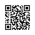 68319-33E40-000 Label, safety (italian)