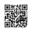 688-11605-A0-00 RING SET (2ND O/S)