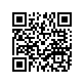 688-41631-01-1S Рычаг Управления