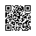 688-45577-01-00 Шайба Регулировочная