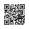 688-45577-40-00 SHIM (T:0.30MM)