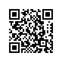 688-45577-50-00 Шайба Регулировочная