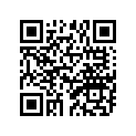 688-45577-60-00 Шайба Регулировочная