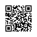 688-45587-30-00 Шайба Регулировочная
