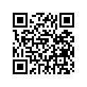 688-45635-00-00 PLUNGER,SHIFT