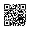 689-81811-11-00 Щетка Генератора