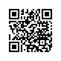 6893304 DIRECTIONALMOUNT