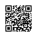 6904383A HORN