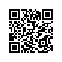 69100-43810 Поршень