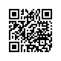 69201814 TERMINAL,SOCKET