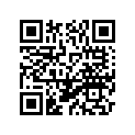 6E5-24351-51-00 BAND 1