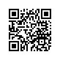 6EK-11656-20-00 Вкладыш Шатунный