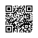 6EK-11656-30-00 Вкладыш Шатунный