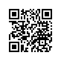 6S1-12168-30-00 PAD, ADJUSTING (2.380)