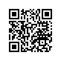 6S1-12168-F0-00 PAD, ADJUSTING (2.620)