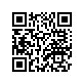 6S1-12168-P0-00 PAD, ADJUSTING (2.780)