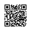 7029P N15535WASHERSR