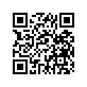 703-48252-00-00 Ролик Металлический