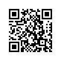 704-48287-00-00 Шайба