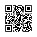 7043374 SHOCK-RR,IRS