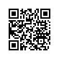 704902755 LH Decal, XT