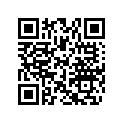 704904174 Decal, Multi-Lingual International