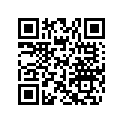 704904242 DECAL, TIRE