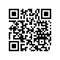 704906026 LH XTP Max Decal
