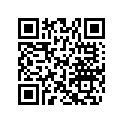 704906066 Console Decal