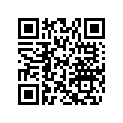 704906092 RH Front Decal