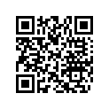 704906894 Parking Brake Decal