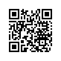 705001691 VALVE SUPPORT