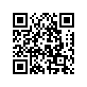 705002812 Front Bumber