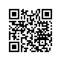 705003654 Front Bumber