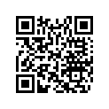 705007277 LH Support