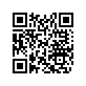 705013817 Mirror Rod