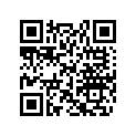 705204601 RH Cargo Support