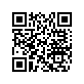 705401329 12" Beadlock