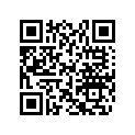 705401840 14" X DS Beadlock