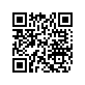 705500649 Nut M40