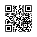 706000548 Lever