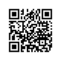 7067408 BRACKET,CHRMFRTWHLSPE