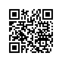 707000691 Lever