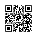 707600131 Support Echap. *support-exhaust
