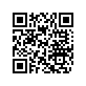707900249 Dash Support