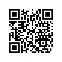 708002644 Safety Belt