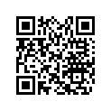 709400406 Mirrors