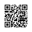 709400523 Mirror